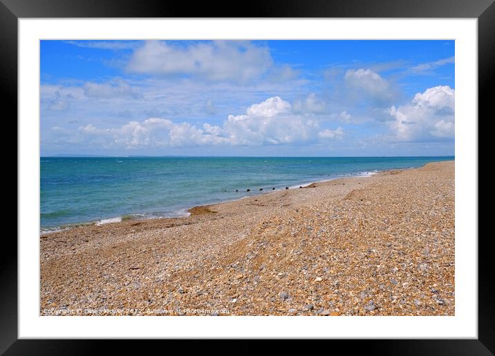 Selsey Bill Beach  Framed Mounted Print by Diana Mower