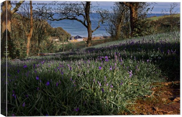Bluebells to the Sea Canvas Print by Duncan Savidge