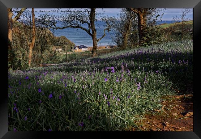 Bluebells to the Sea Framed Print by Duncan Savidge