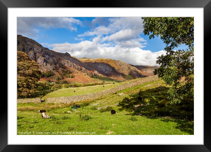 Lake District Farmland Framed Mounted Print by David Hare