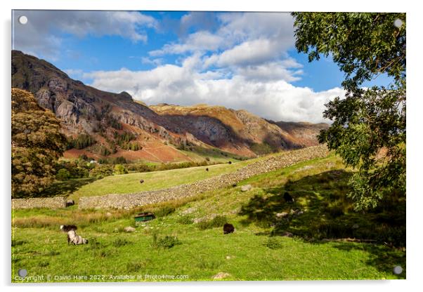 Lake District Farmland Acrylic by David Hare