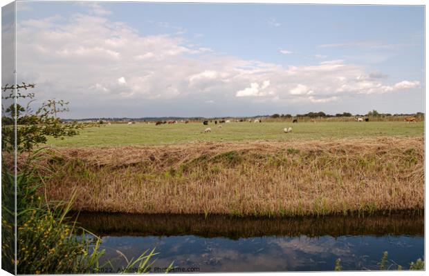 Recently cleared waterway across Sussex Marshes Canvas Print by Sally Wallis