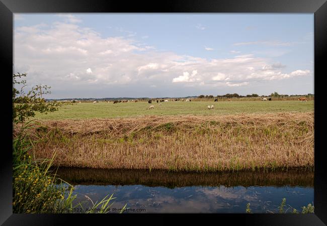 Recently cleared waterway across Sussex Marshes Framed Print by Sally Wallis