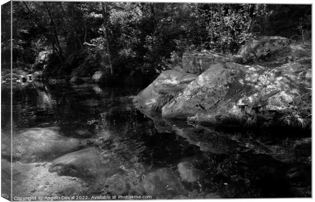 Rocks and peaceful river in Carvalhais with monochrome Canvas Print by Angelo DeVal