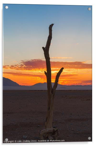 Namib Desert at Sunset Acrylic by colin chalkley