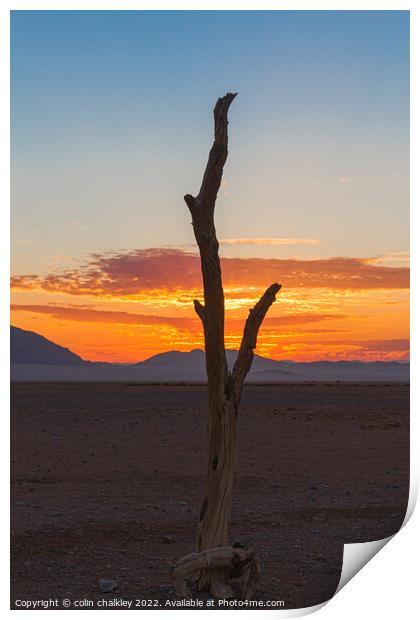 Namib Desert at Sunset Print by colin chalkley