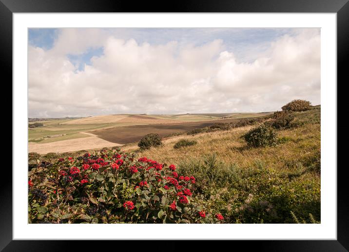 Downland scrubland and fields  Framed Mounted Print by Sally Wallis