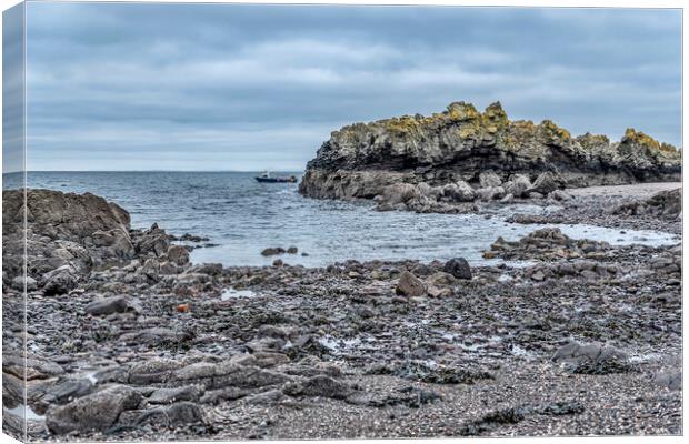 Ayrshire Rocky Coast Canvas Print by Valerie Paterson