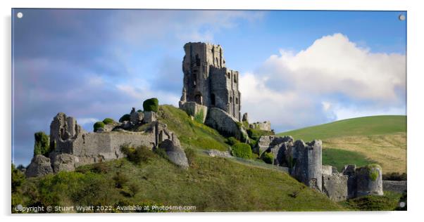 Corfe Castle Acrylic by Stuart Wyatt