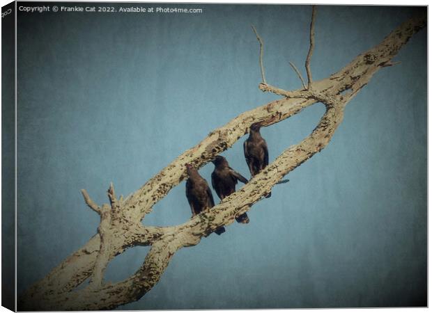 3 Crows Canvas Print by Frankie Cat
