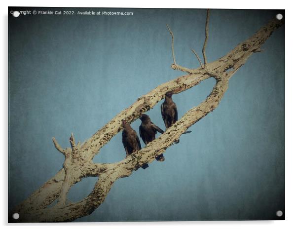3 Crows Acrylic by Frankie Cat