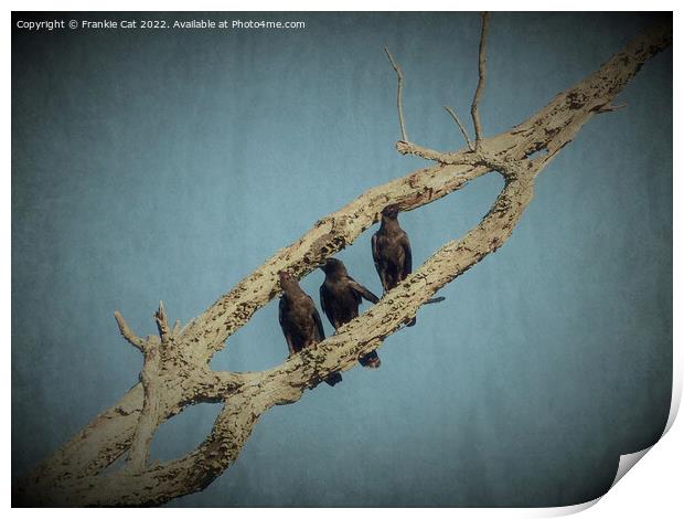 3 Crows Print by Frankie Cat