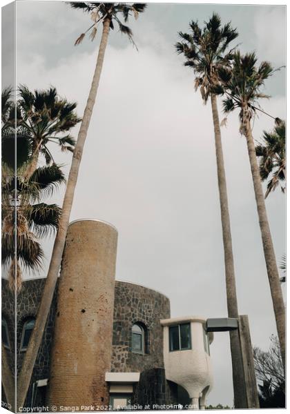 Palm trees and vintage building Canvas Print by Sanga Park