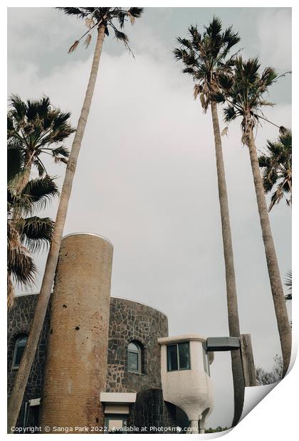 Palm trees and vintage building Print by Sanga Park