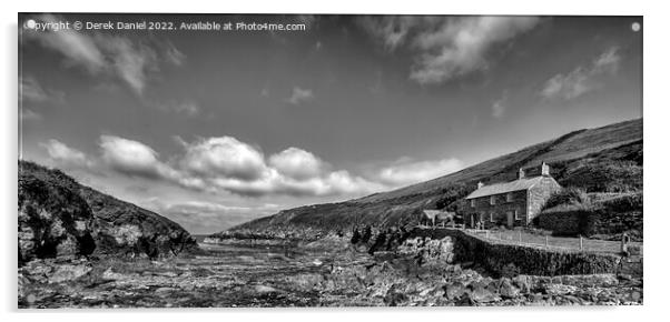 Port Quinn, Cornwall (mono, panoramic) Acrylic by Derek Daniel