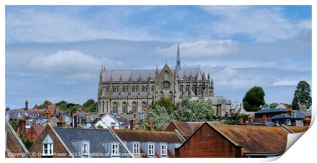 Arundel Cathedral West Sussex Print by Diana Mower