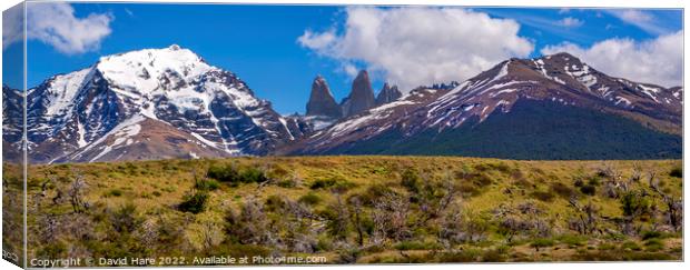 Mountains of Patagonia Canvas Print by David Hare