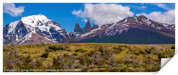 Mountains of Patagonia Print by David Hare