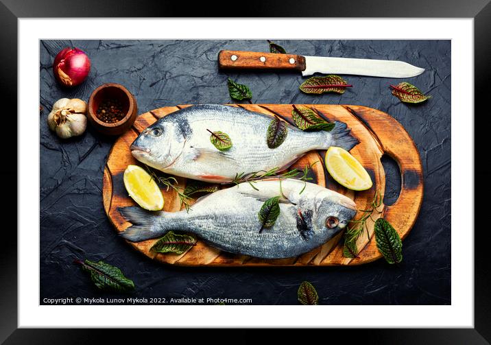 Dorado is a healthy and tasty fish. Framed Mounted Print by Mykola Lunov Mykola
