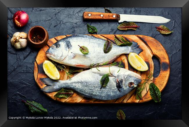 Dorado is a healthy and tasty fish. Framed Print by Mykola Lunov Mykola