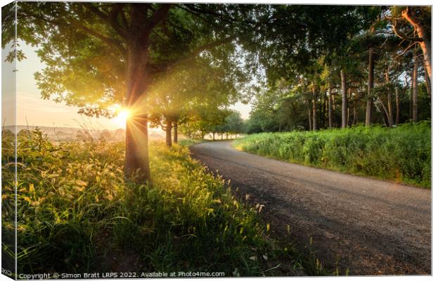 Dawn sunrise along a Norfolk rural road with trees Canvas Print by Simon Bratt LRPS