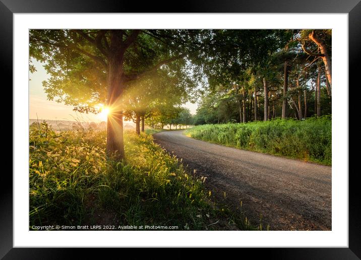 Dawn sunrise along a Norfolk rural road with trees Framed Mounted Print by Simon Bratt LRPS