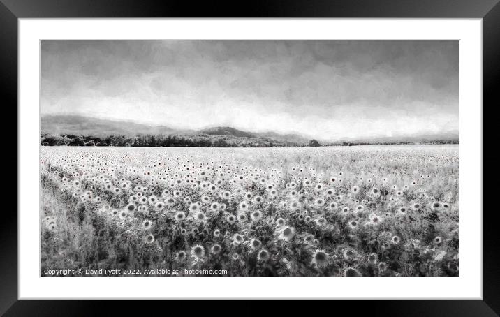 Sunflower Dream Vista  Framed Mounted Print by David Pyatt