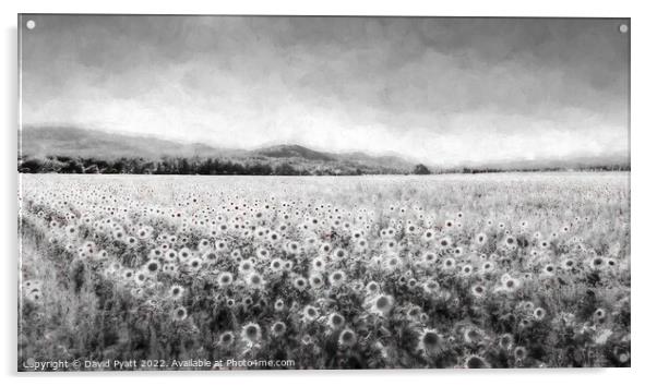 Sunflower Dream Vista  Acrylic by David Pyatt