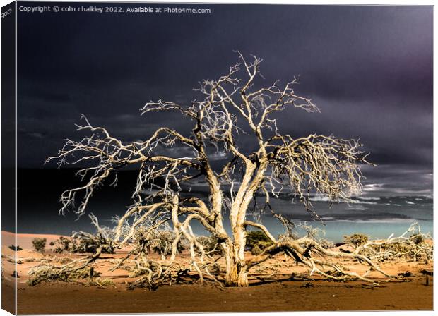 Namibia - Surreal Sossusvlie at Dawn Canvas Print by colin chalkley