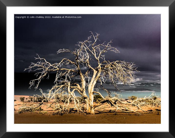 Namibia - Surreal Sossusvlie at Dawn Framed Mounted Print by colin chalkley