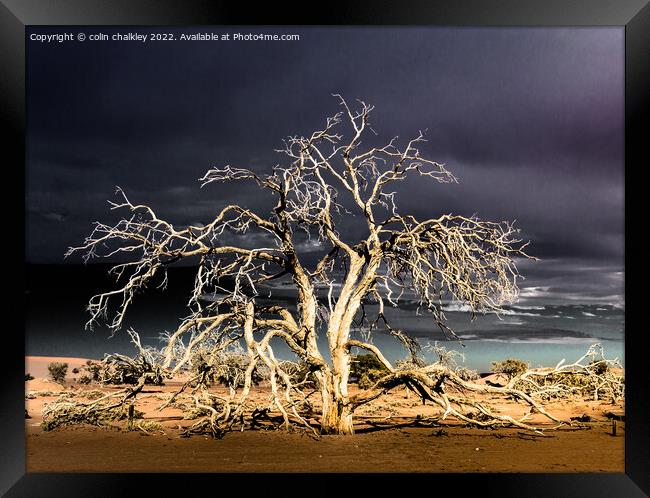 Namibia - Surreal Sossusvlie at Dawn Framed Print by colin chalkley