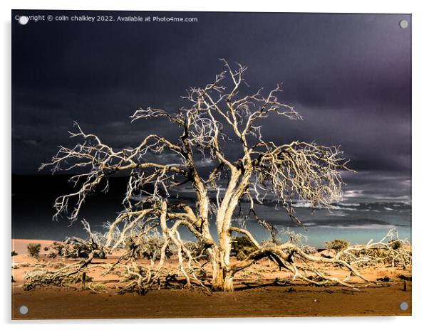 Namibia - Surreal Sossusvlie at Dawn Acrylic by colin chalkley