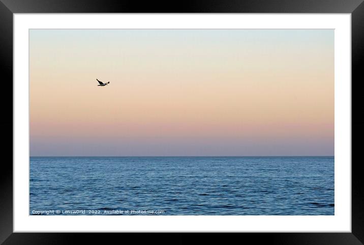 A bird flying over a body of water Framed Mounted Print by Lensw0rld 