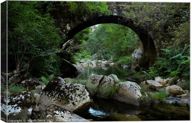 Antique stone bridge and river in Carvalhais Canvas Print by Angelo DeVal
