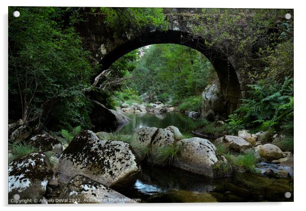 Antique stone bridge and river in Carvalhais Acrylic by Angelo DeVal