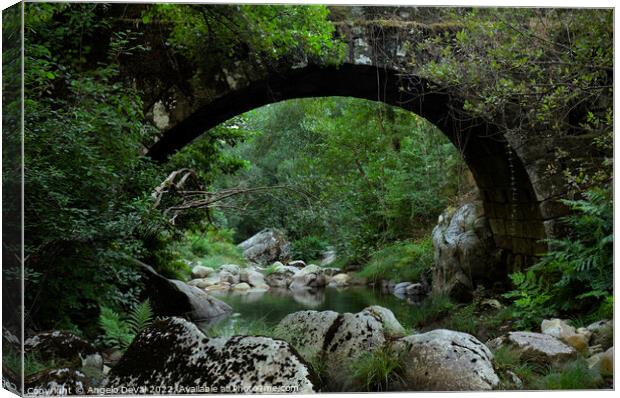 Antique stone bridge in Carvalhais Canvas Print by Angelo DeVal