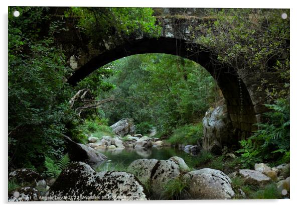 Antique stone bridge in Carvalhais Acrylic by Angelo DeVal