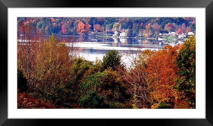 Change of Seasons Framed Mounted Print by Donna Duclos