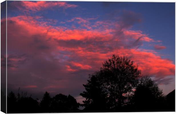 red sky at dusk Canvas Print by Sally Wallis