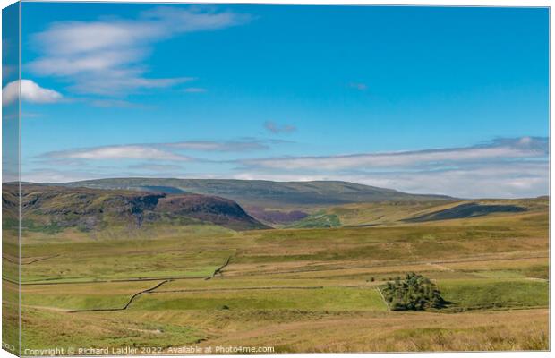 Cronkley Scar, Mickle Fell and Widdybank Fell Canvas Print by Richard Laidler