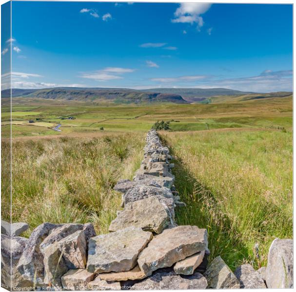 Down to Widdybank Farm and Cronkley Scar Canvas Print by Richard Laidler