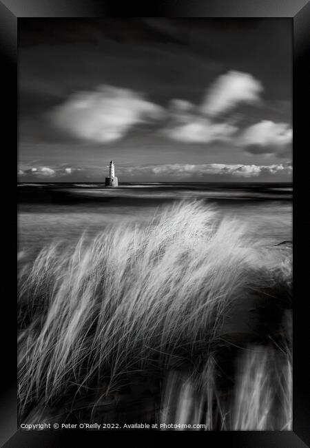 Rattray Head Lighthouse Framed Print by Peter O'Reilly