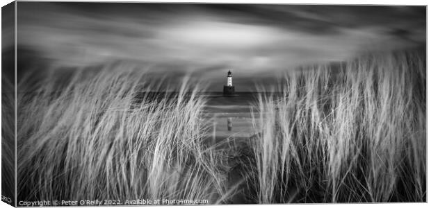 Rattray Head Lighthouse Canvas Print by Peter O'Reilly