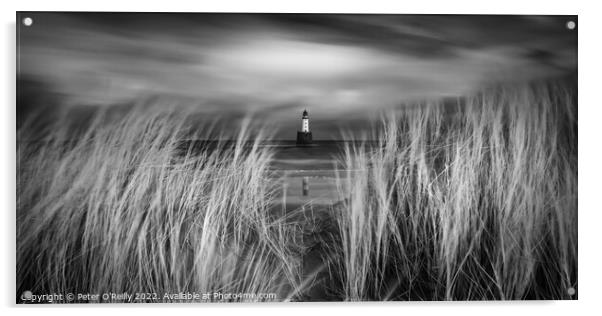 Rattray Head Lighthouse Acrylic by Peter O'Reilly
