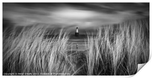 Rattray Head Lighthouse Print by Peter O'Reilly