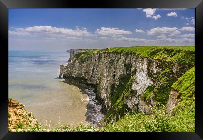 The Chalk Cliffs at Bempton and Flamborough Framed Print by Michael Shannon