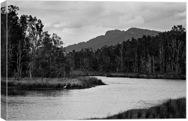 Backwater #2 Canvas Print by Dennis Gay