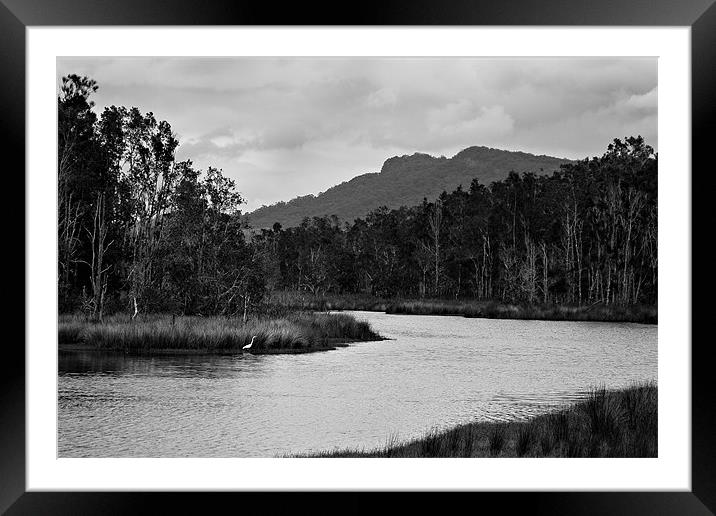 Backwater #2 Framed Mounted Print by Dennis Gay