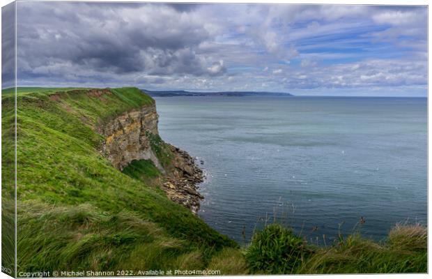 Clifftop view from near Filey Brigg Canvas Print by Michael Shannon