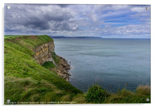Clifftop view from near Filey Brigg Acrylic by Michael Shannon
